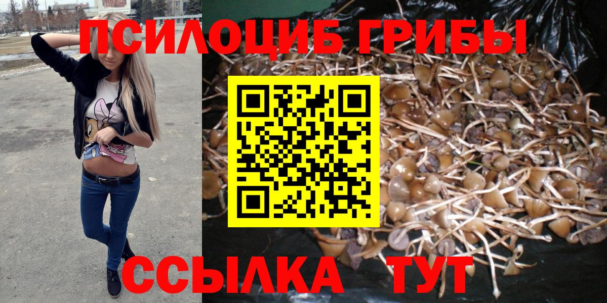Псилоцибиновые грибы прущие грибы Кунгур