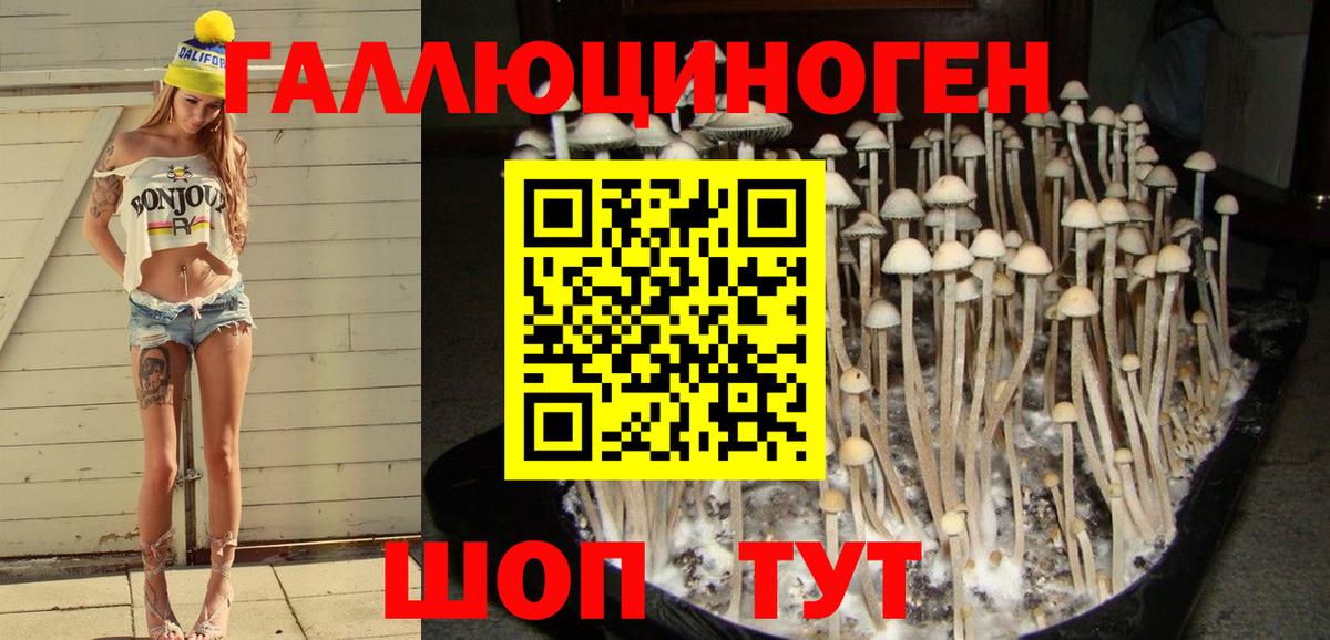 Кунгур  Галлюциногенные грибы мухоморы  Вход с VPN 